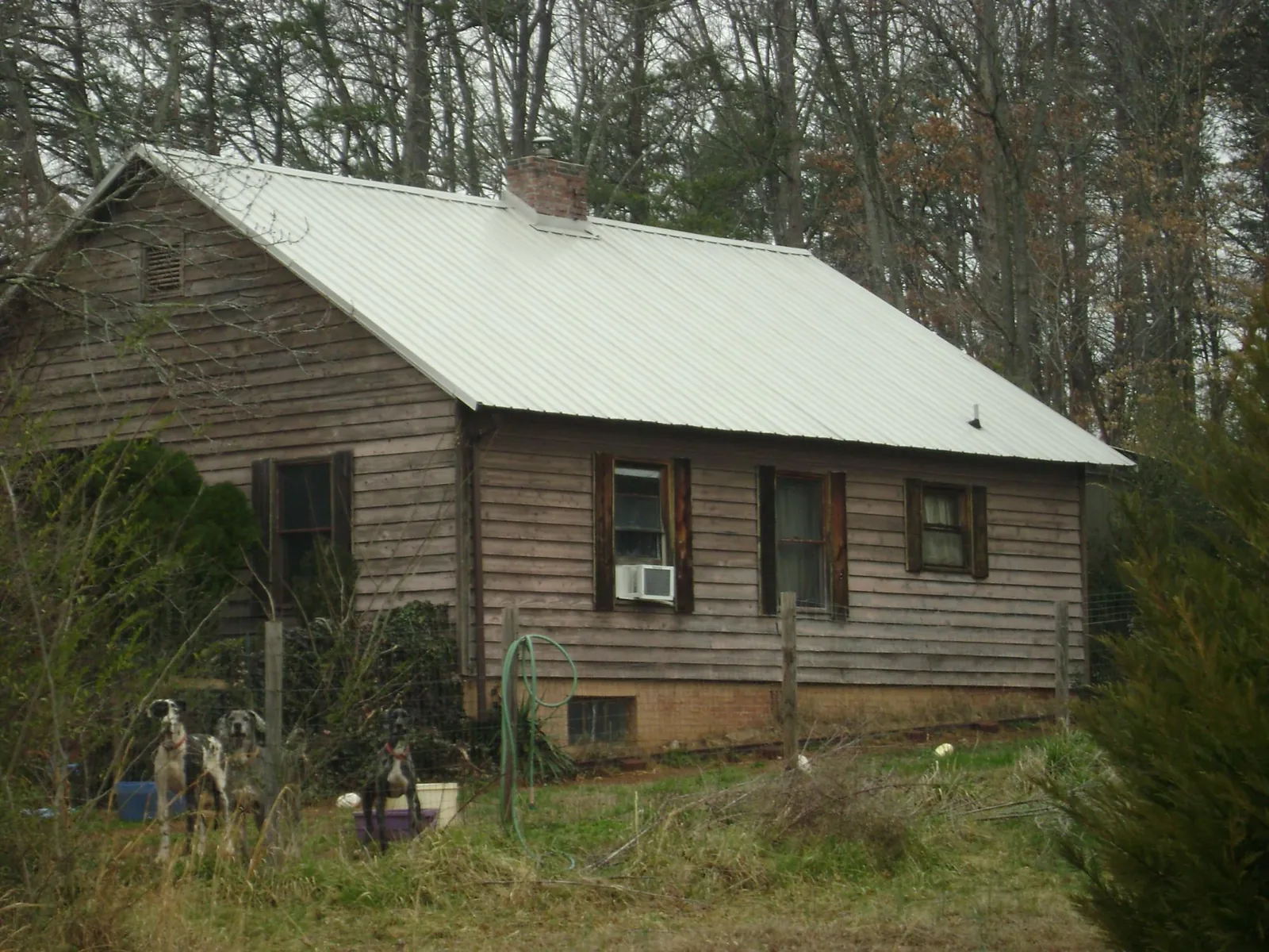 White metal roof on an old wood sided farmhouse, from a Asphalt Shingle Roof Repair job in Paxtonville